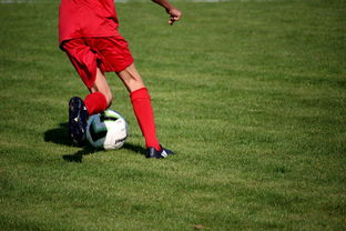 Jiu You-篮球专项技能训练标准体系建设，篮球专项训练方法和手段