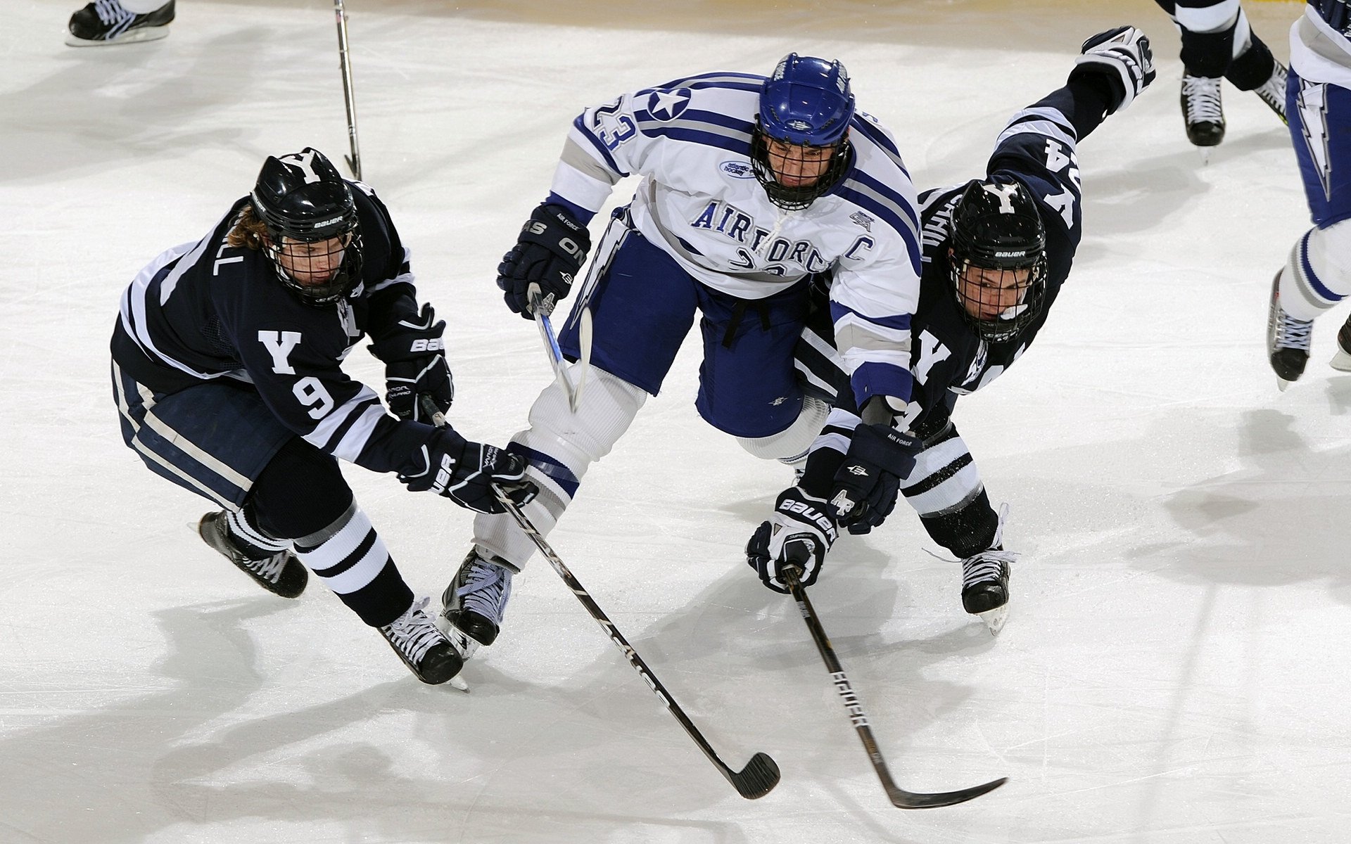 九游APP官网-山地飞跃——高空绳索攀爬赛引人入胜，高空攀岩绳索上升工具用法